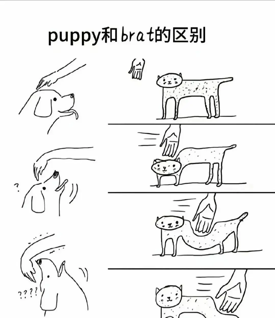 【西檬之家】k8猫系在字母圈中的角色解析