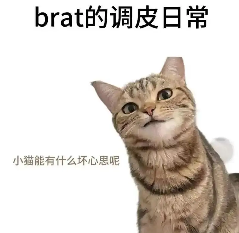 西檬之家-字母圈的Brat属性是什么？
