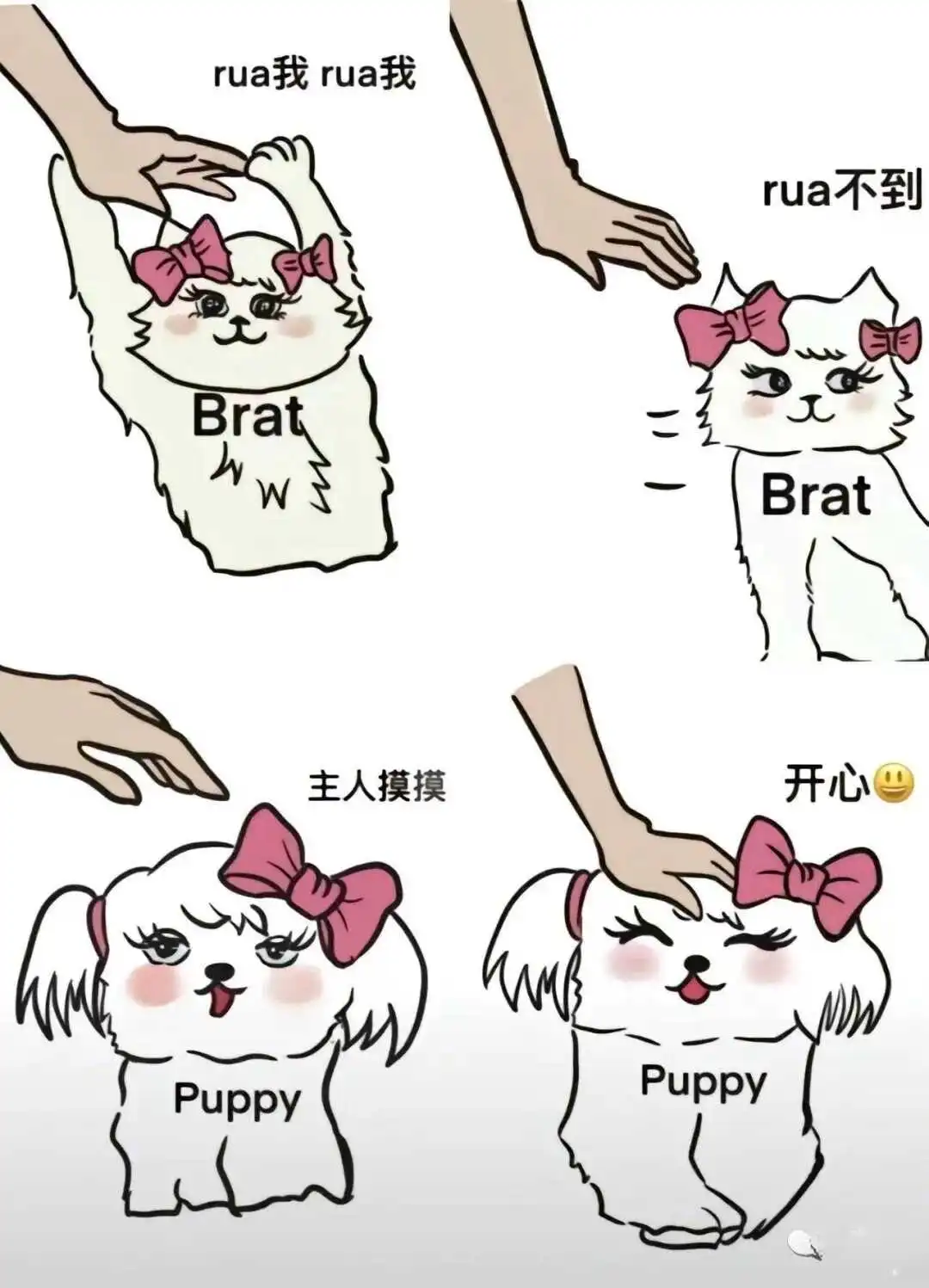 西檬之家-TK是什么？字母圈挠痒痒的趣味探索