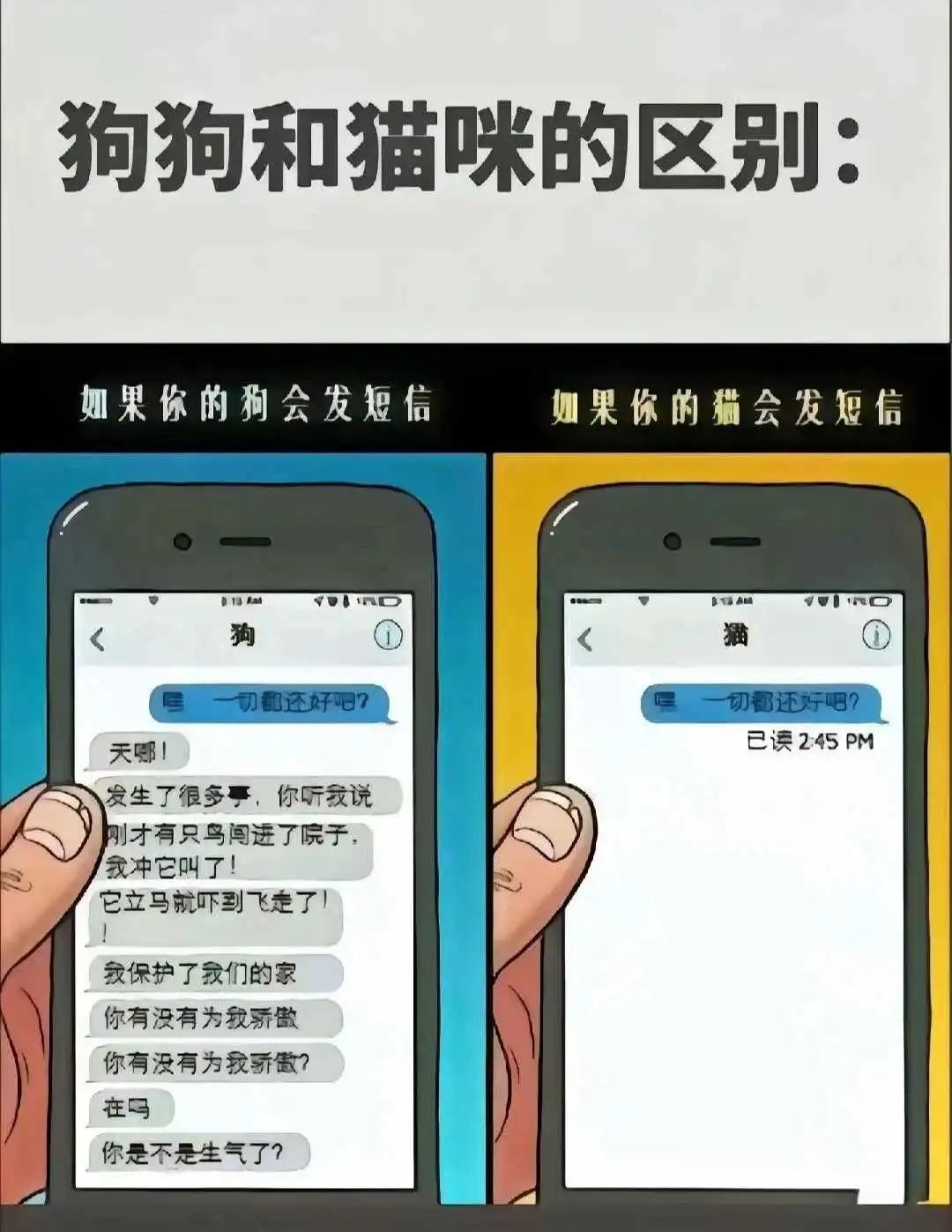 【西檬之家】DS关系入门：字母圈新人的信任与边界指南
