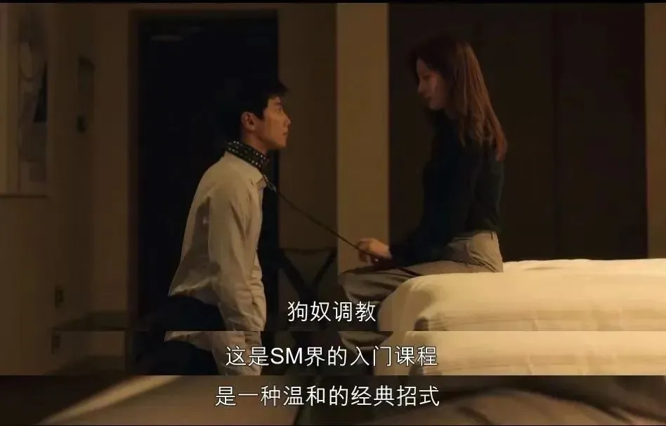 西檬之家-BDSM核心术语解析指南