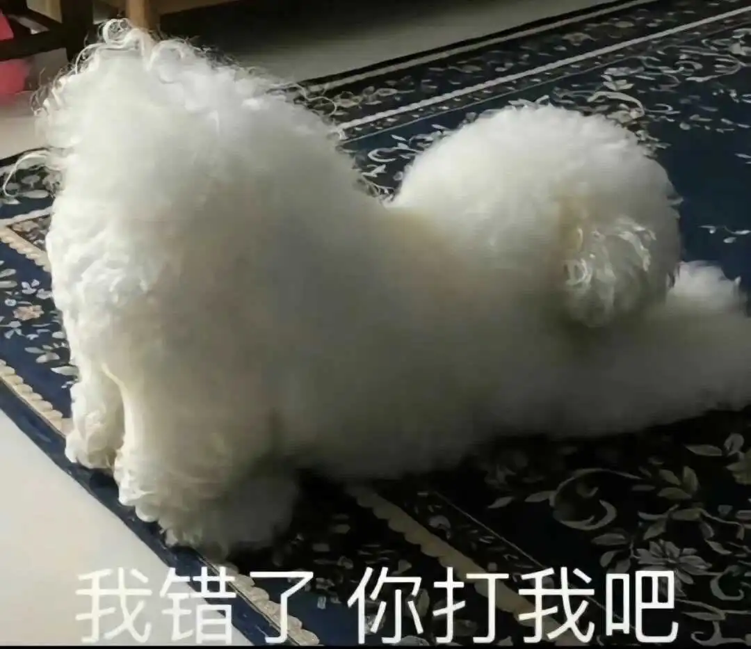西檬之家-BDSM核心术语解析与实践指南